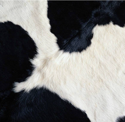 COW CARD HOLDER